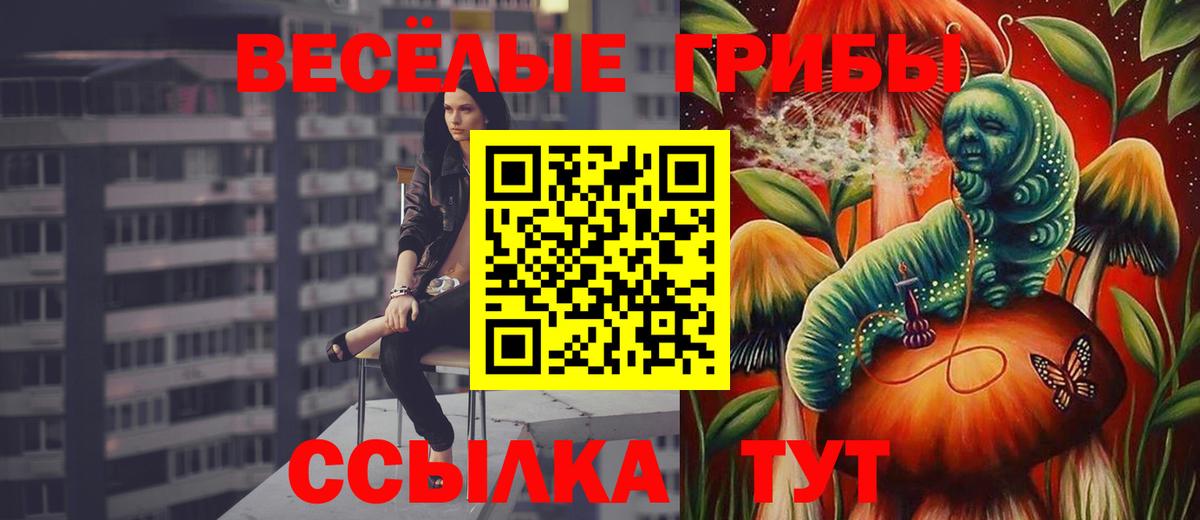 Соликамск  купить  сайты  Вход с VPN  Галлюциногенные грибы прущие грибы 